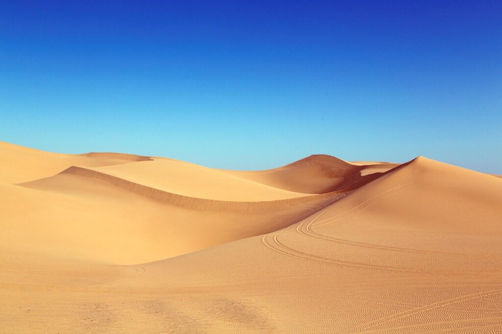 砂漠